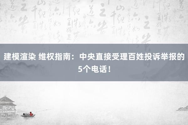 建模渲染 维权指南：中央直接受理百姓投诉举报的5个电话！