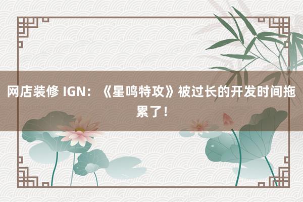 网店装修 IGN：《星鸣特攻》被过长的开发时间拖累了！