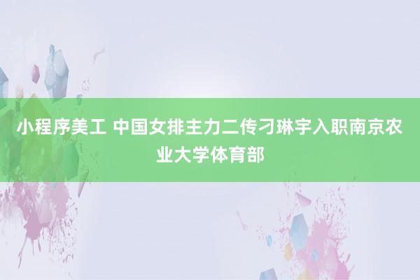 小程序美工 中国女排主力二传刁琳宇入职南京农业大学体育部